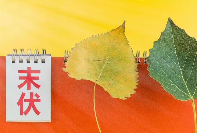 末伏第一天，來吃個張成榮大雞腿吧！
