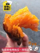 學校周圍秋冬賣什么最賺錢？張成榮電烤雞架來支招！