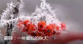 2018霜降來臨：張成榮電烤雞架邀你一起進入養(yǎng)生季！