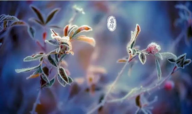 2018霜降來(lái)臨：張成榮電烤雞架邀你一起進(jìn)入養(yǎng)生季！