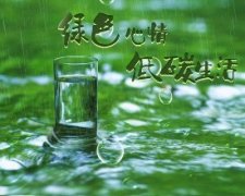 張成榮電烤雞架，爭做綠色低碳餐飲小吃先鋒品牌！